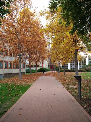 Università Degli Studi Di Verona - Dipartimento Di Cultura e Civiltà