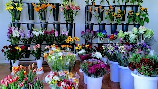 Il Giardino dei Fiori di Vino Antonella