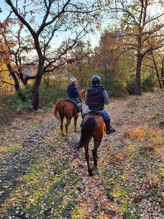 Etna Horse Riding/Etna Escursioni a cavallo