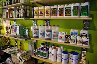 Grow Go (Canapaio - Semi - Grow shop - Accessori) Canapa Palermo - Grow shop Palermo