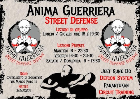 Anima Guerriera - Street Defense Systems