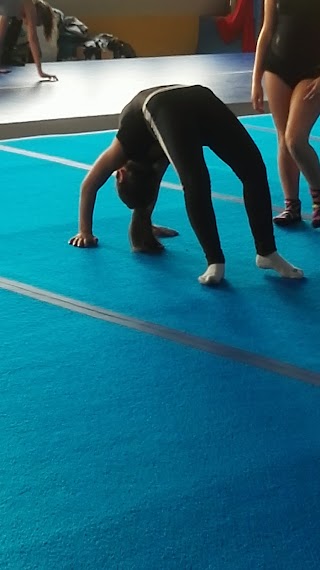 Ginnastica Allegria