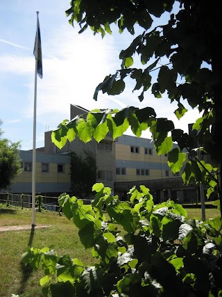 Liceo e Istituto Tecnico Primo Levi