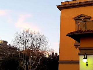 Università Degli Studi Roma Tre - Piazza Telematica