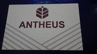 Antheus