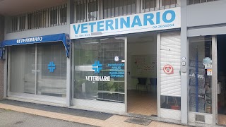 Ambulatorio Veterinario Vimodrone