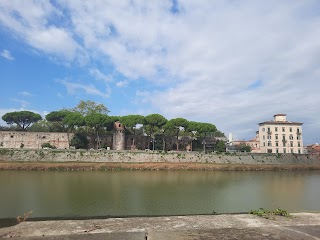 Dipartimento di Economia e Management, Università di Pisa