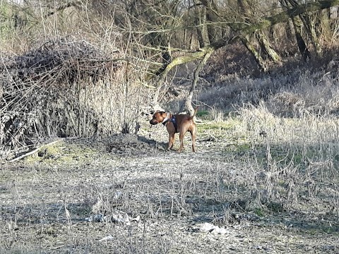 parco Ansa Del Brenta