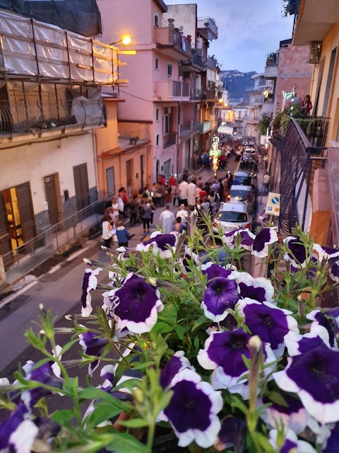 Gambacorta Giuseppe Fiori E Piante Servizio Interflora