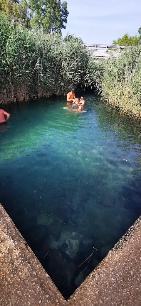 Piscina naturale pubblica della sorgiva del fiume carsico Cervaro