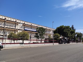 Istituto Istruzione Secondaria Superiore "Giulio Cesare"