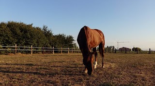 La Prospera Centro Equestre