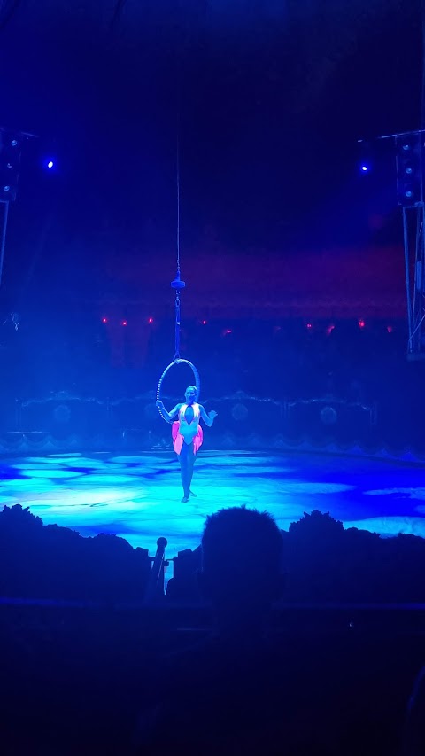 CIRCO MILLENNIUM