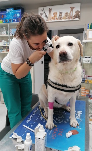 Centro Veterinario Pet & Vet