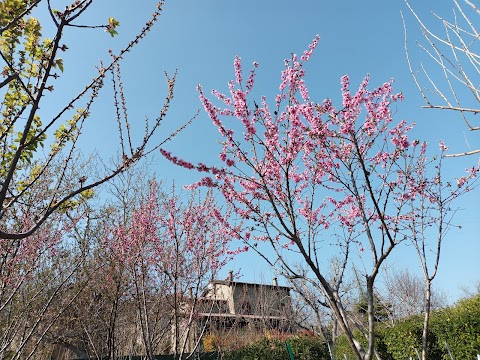 LA TORRETTA DI BARBAROLO