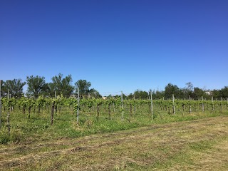 Agriturismo Il Torchio