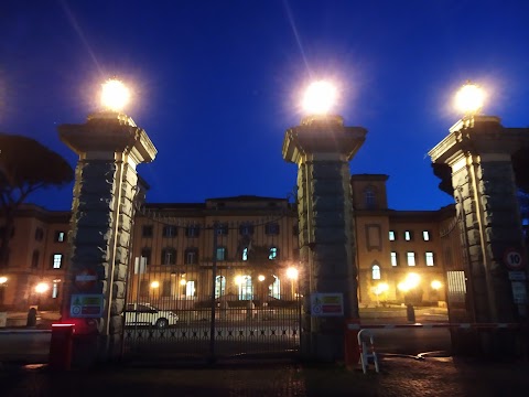 Ospedale San Camillo Forlanini Pronto Soccorso Pediatrico