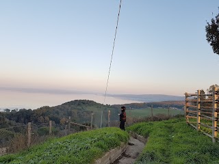 Università Agraria di Bracciano