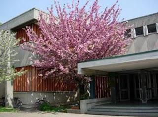 Scuola Media Statale A . Stoppani