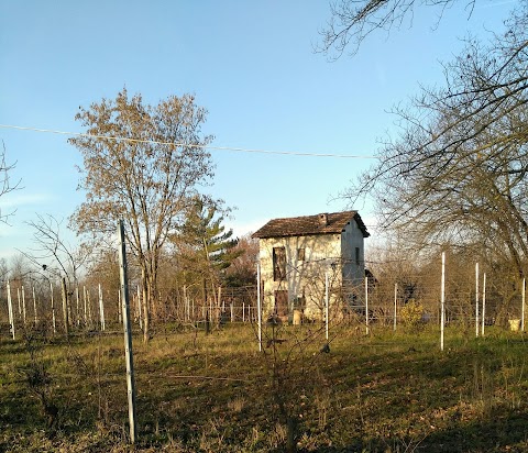 B&B Cascina Ometto