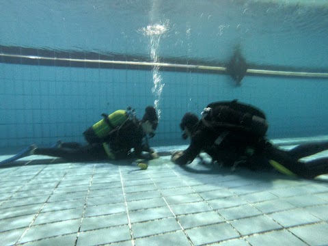 Piscina Comunale Colzi Martini