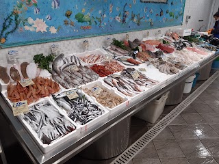 Pescheria Sa.Ma. Roma