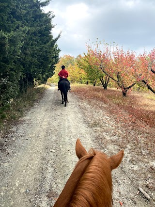 Equiturismo Monferrato