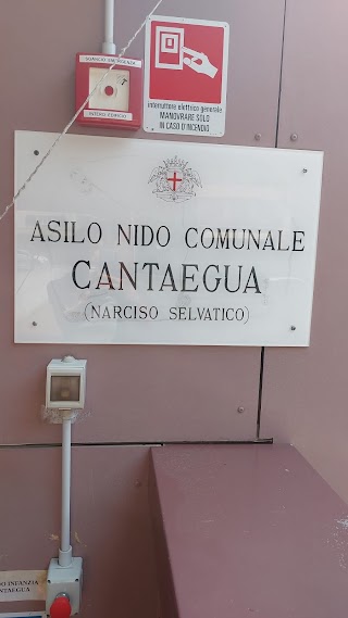 Asilo Nido Comunale Cantaegua