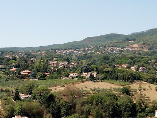 Scuola media Mariani