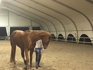 Centro Equestre Veneto