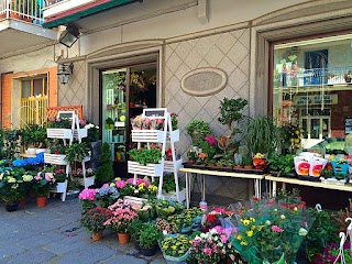 Boutique Del Fiore Di Natale Antonio