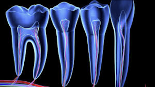 Studio di Odontostomatologia Dott. Giuseppe Panico