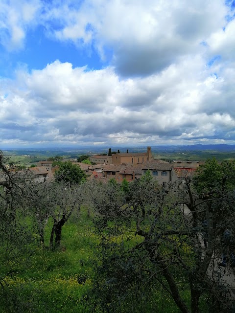 UnipolSai Assicurazioni - Assicoop Toscana Spa