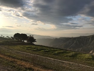 Scuola Valori Divini - Shiva Kriya Yoga Italia