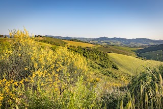 Azienda Agrituristica La Querciola