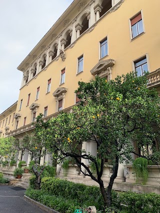 Pontificio Collegio Nepomuceno