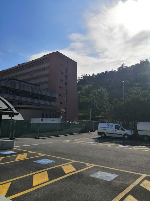 Ospedale Santa Maria Del Carmine Pronto Soccorso