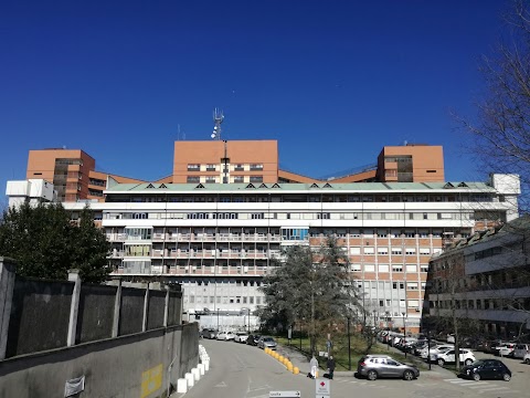 Fondazione I.R.C.C.S. Policlinico San Matteo