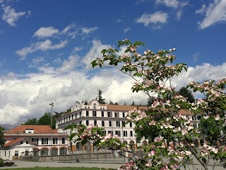 Istituto Missionario Salesiano Cardinal Cagliero