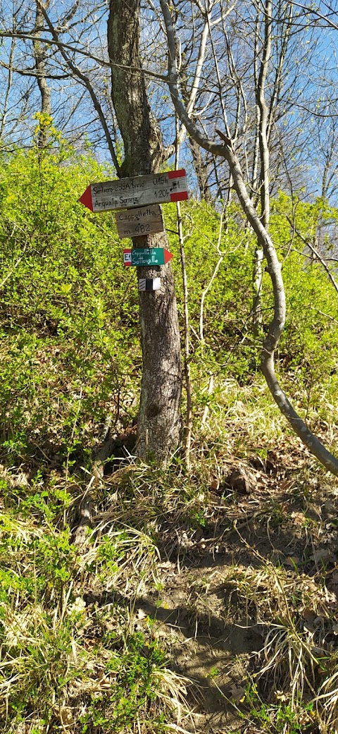 Sentiero Naturalistico del Boschetto