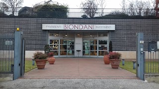 Biondani Superfici srl