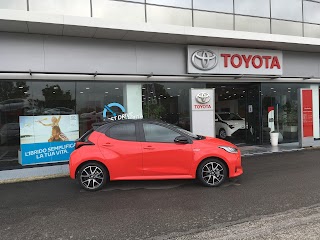 Toyota Nordauto