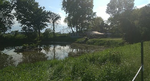 Ristorante Lago Oasi Sas Di Melloni Matteo & C.