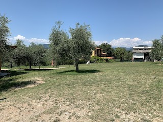 Chiosco Bel di Bertussi