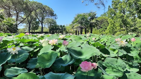 Parco Zoo Punta Verde