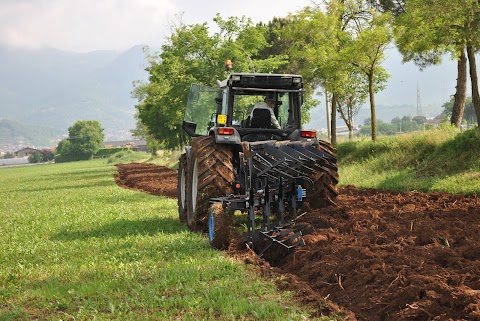 Polesini Aratri e Macchine Agricole