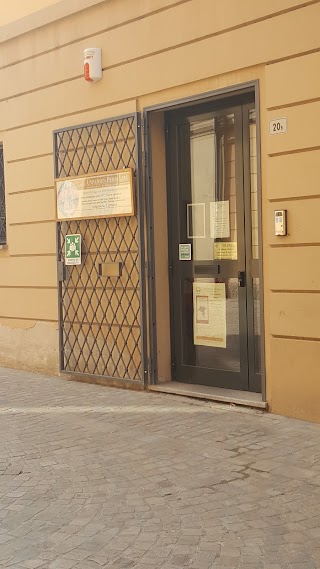 Università Primo Levi