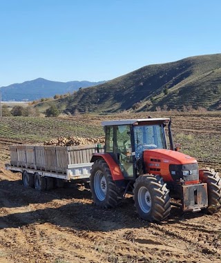 Gli Elefantini Di Martino Srl Patate Di Qualità