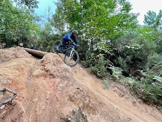 MTB Guide XP