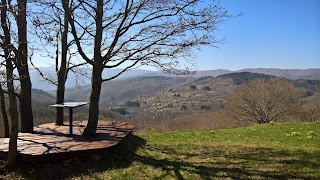 B&B Vista Casentino